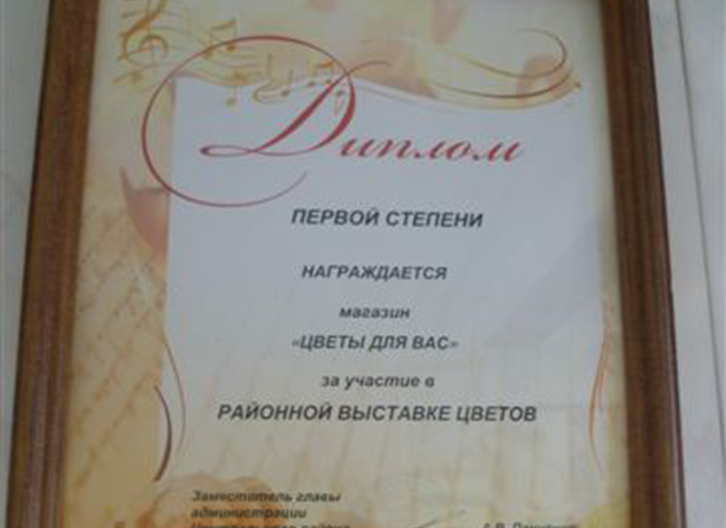 Наши дипломы и награды